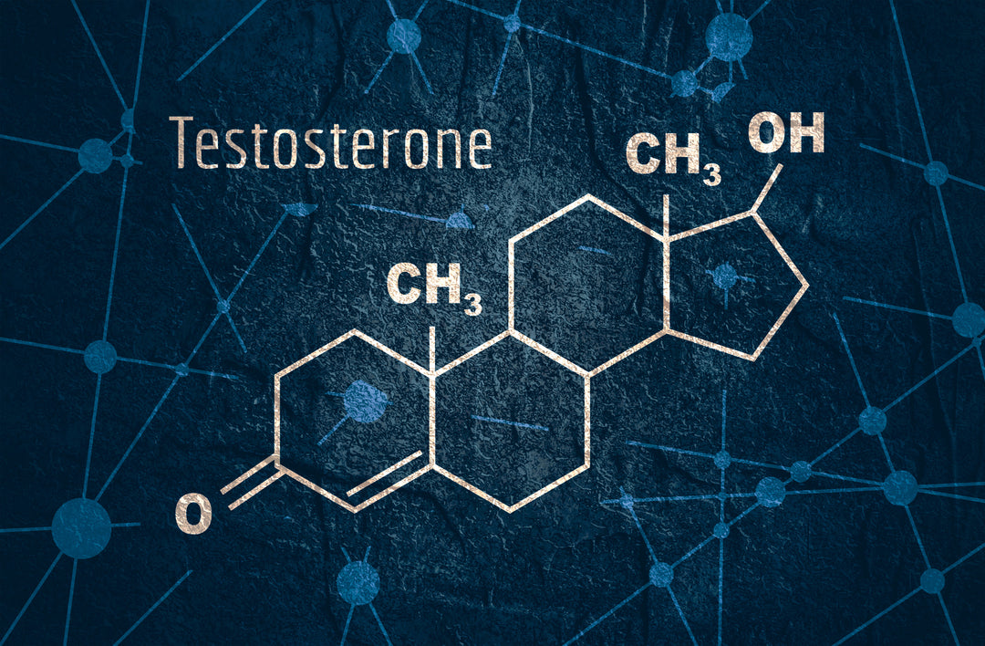 Consequences of Low T & How To Support Natural T Production