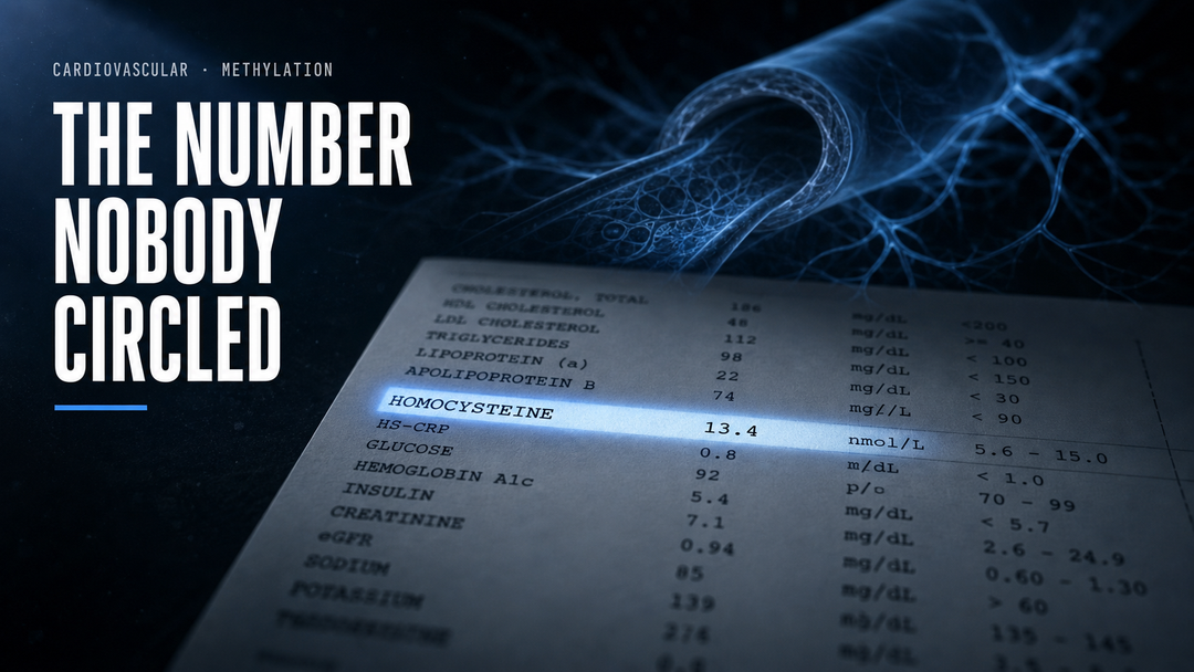 Homocysteine Levels: Normal Range vs Optimal