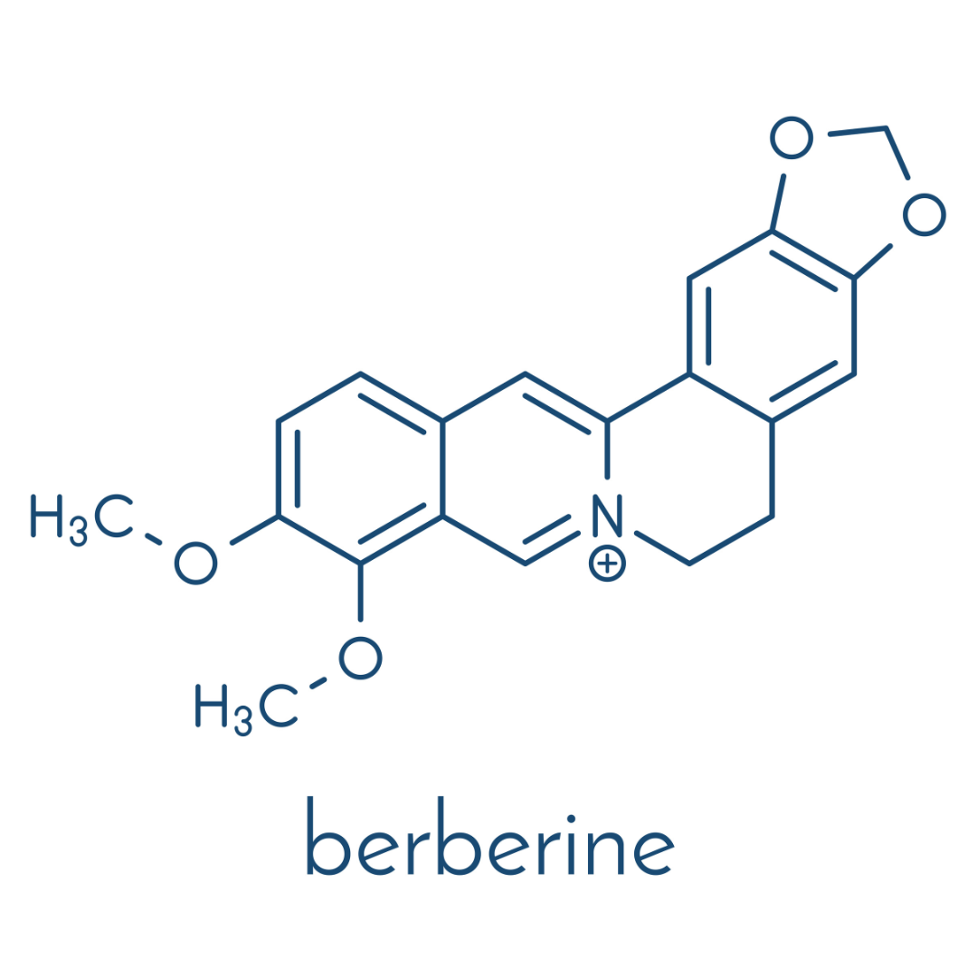 Top Benefits of Berberine Supplementation