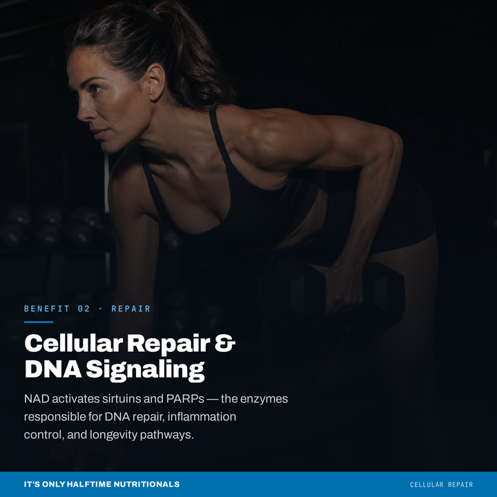NAD Catalyst