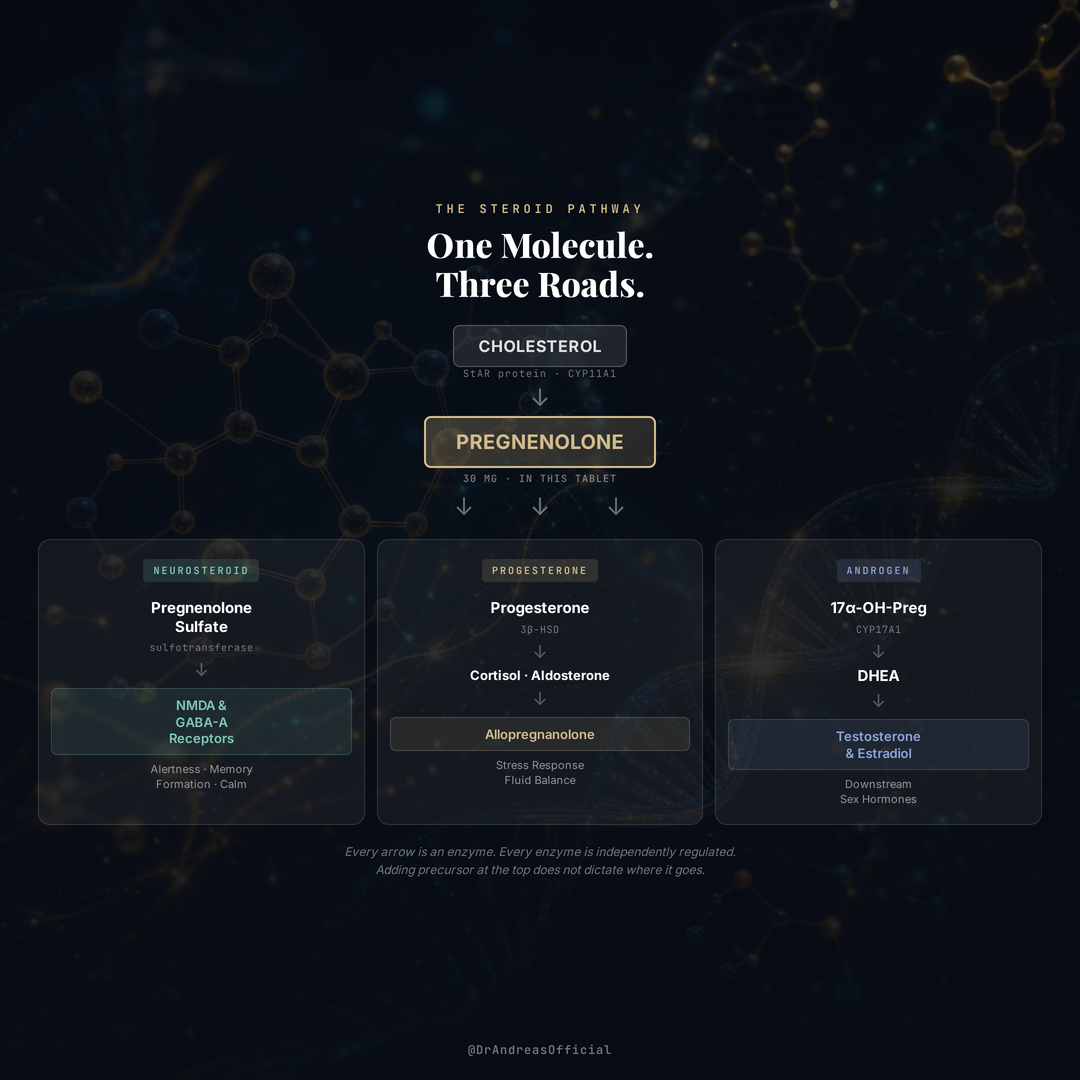 IOH Pregnenolone