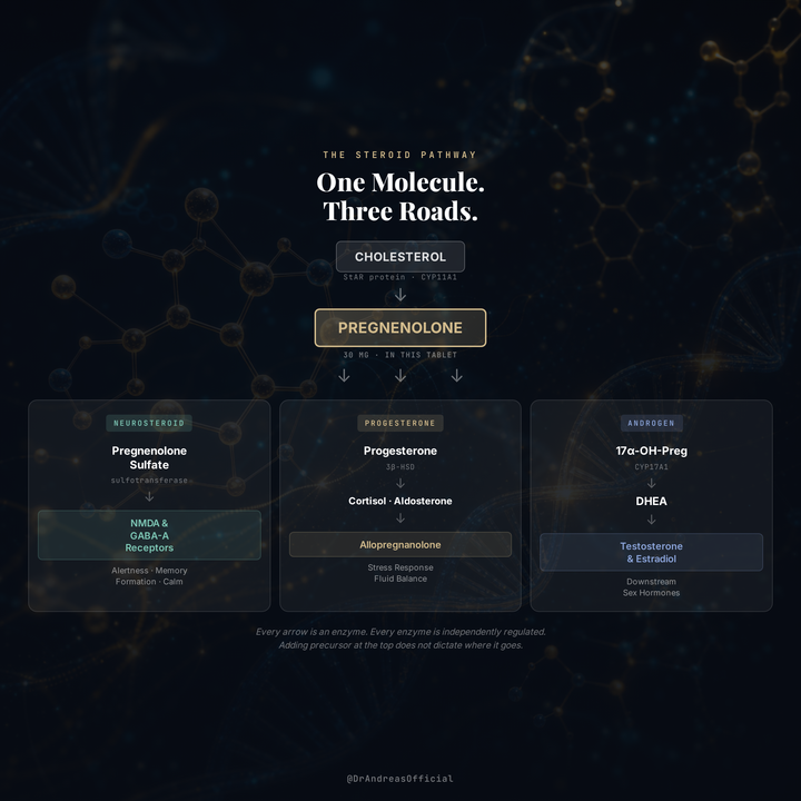 IOH Pregnenolone
