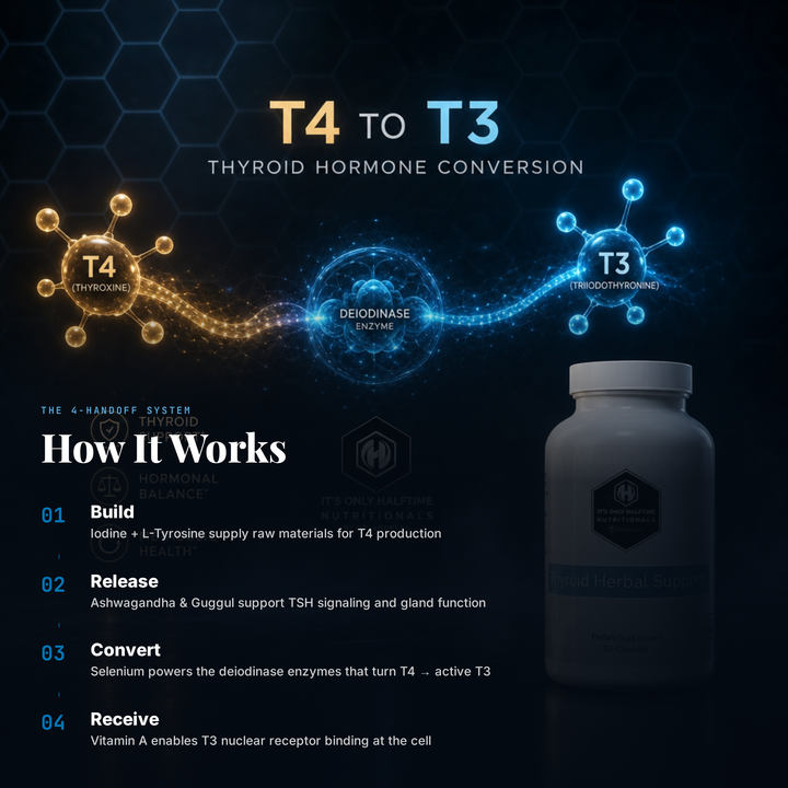 Thyroid Herbal Support